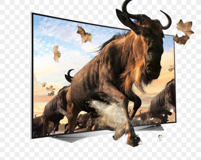 Ultra-high-definition Television 4K Resolution LED-backlit LCD LG Electronics, PNG, 880x700px, 3d Film, 3d Television, 4k Resolution, Ultrahighdefinition Television, Bull Download Free