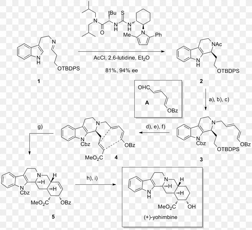 Amination Thiourea Organocatalysis Indole Michael Reaction, PNG, 1914x1745px, Amination, Acid Catalysis, Alkylation, Area, Auto Part Download Free
