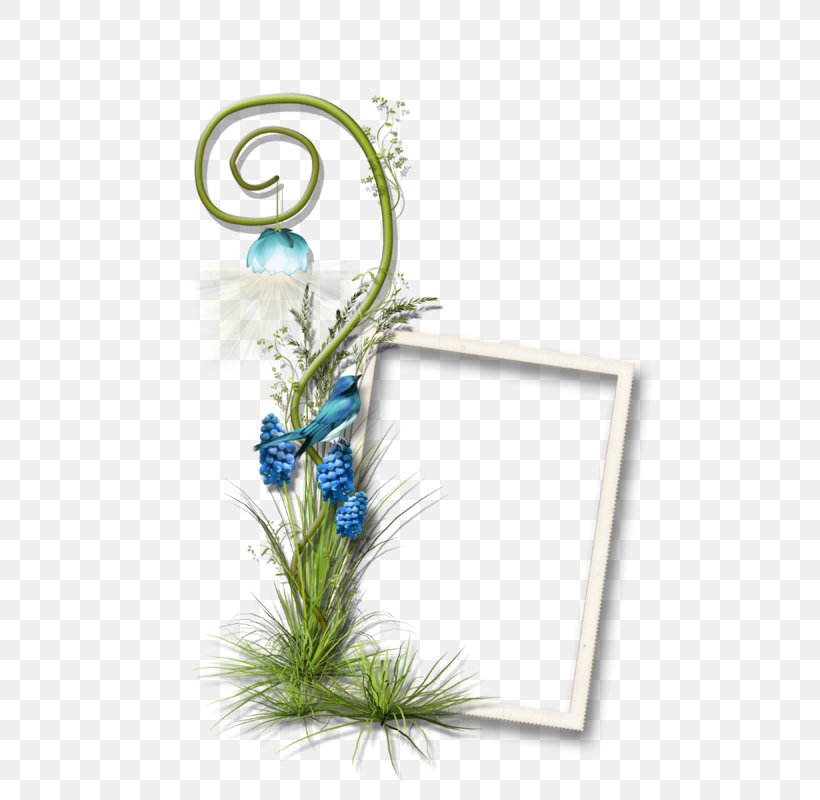 Drawing, PNG, 800x800px, Drawing, Data, Digital Photo Frame, Feather, Flora Download Free