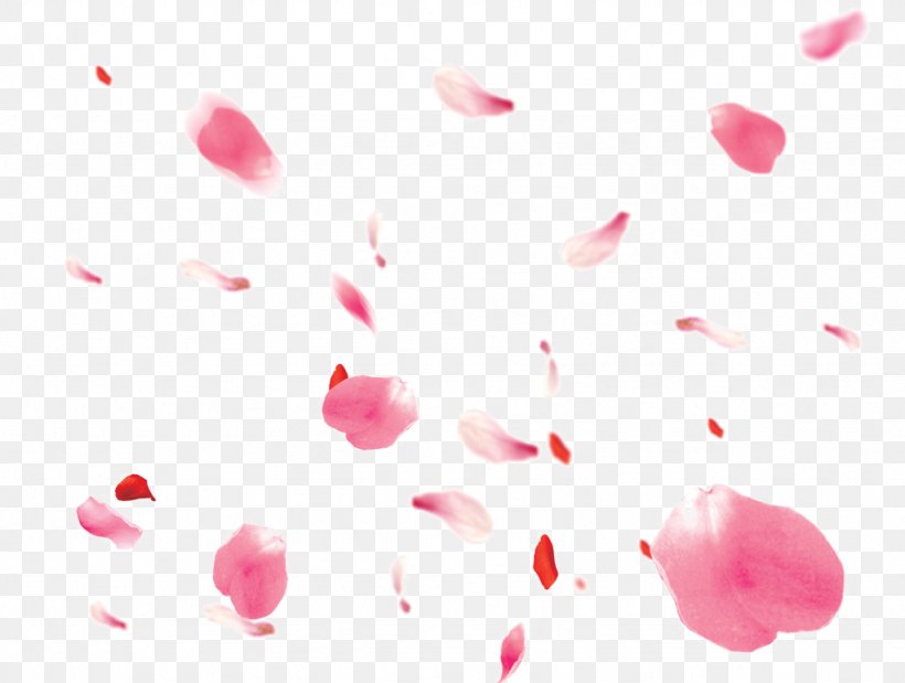 Petal Download Clip Art, PNG, 1024x773px, Petal, Flower, Heart, Magenta, Pink Download Free