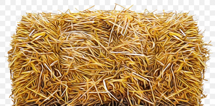 Wheat, PNG, 960x477px, Watercolor, Agriculture, Baler, Baling Twine, Cereal Download Free