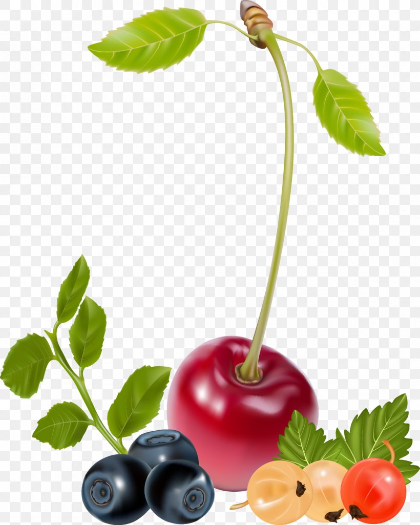 Cherry Fruit, PNG, 1199x1500px, Cherry, Art, Auglis, Berry, Blueberry Download Free