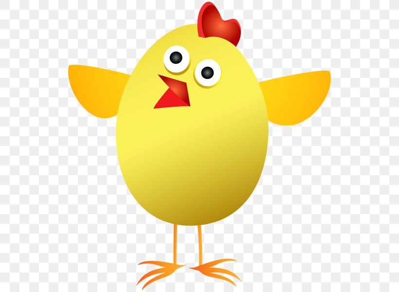 Chicken Easter Bunny Kifaranga Clip Art, PNG, 546x600px, Chicken, Beak, Bird, Blog, Chicken Egg Download Free