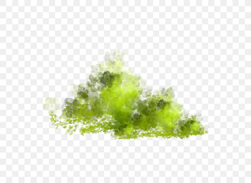 Clip Art, PNG, 600x600px, Easter, Computer Graphics, Daytime, Grass, Green Download Free
