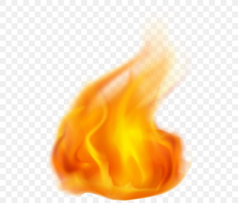 Flame Bonfire Clip Art, PNG, 544x700px, Flame, Animation, Blog, Bonfire, Close Up Download Free