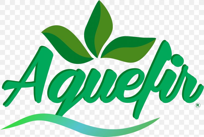 Leaf Logo Brand Plant Stem Font, PNG, 1950x1306px, Leaf, Area, Brand, Grass, Green Download Free