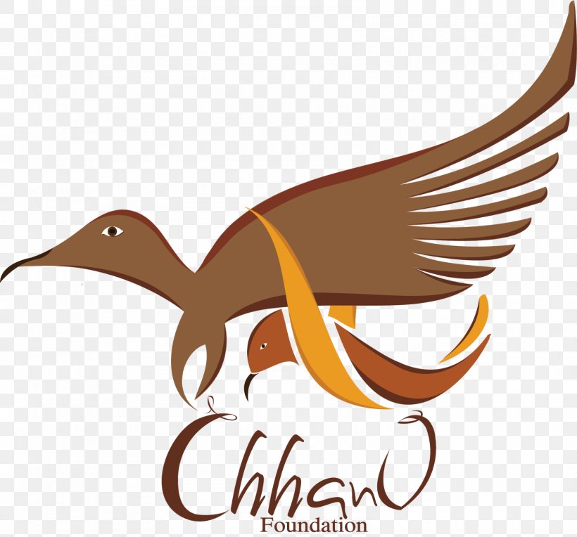 Logo Chhanv Foundation Acid Throwing Social Media Brand, PNG, 1600x1491px, Logo, Acid, Acid Throwing, Beak, Bird Download Free