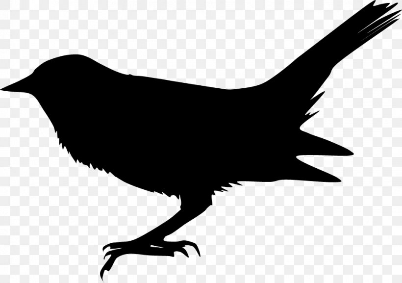 Silhouette Blackbird The Beatles Song, PNG, 969x683px, Silhouette, Airplane, Beak, Beatles, Bird Download Free