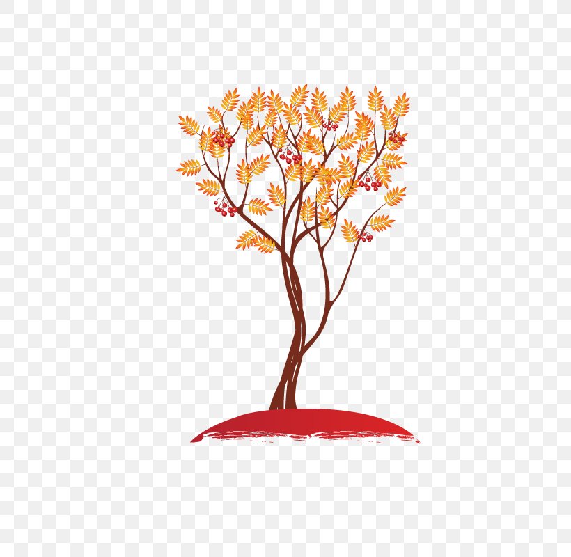 Clip Art Fall Tree Vector Graphics, PNG, 800x800px, Tree, Autumn, Branch, Fall Tree, Flower Download Free