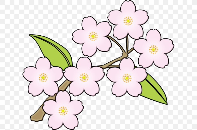Floral Design Cut Flowers Cherry Blossom Flowering Plant, PNG, 633x544px, Floral Design, Blossom, Botany, Cherries, Cherry Blossom Download Free