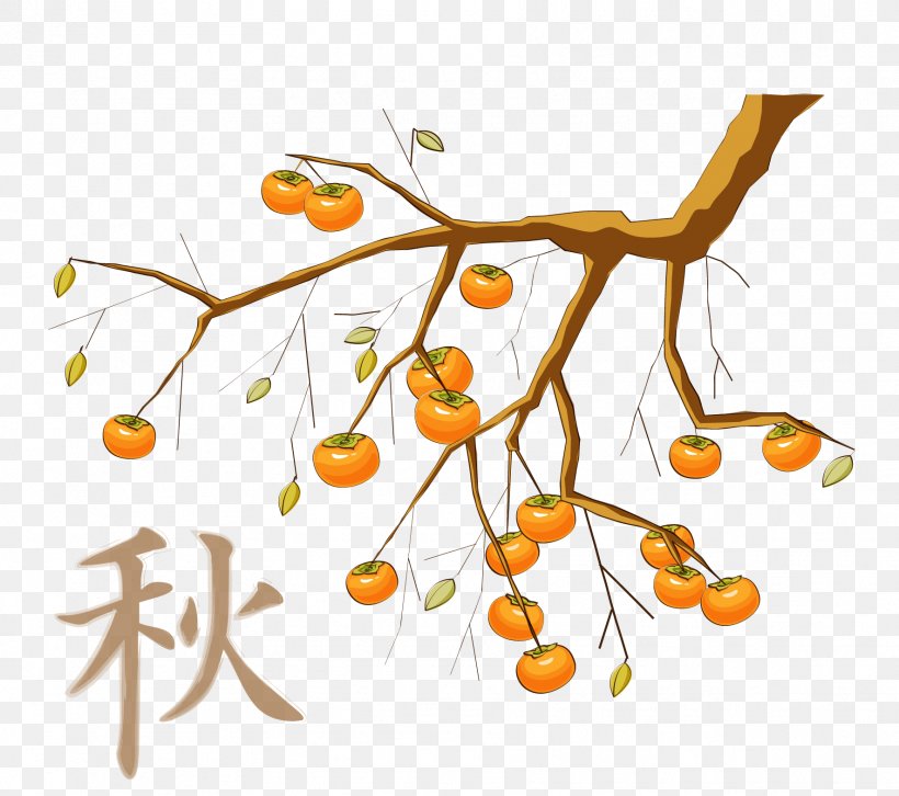 Japanese Persimmon Food Clip Art, PNG, 1772x1569px, Fanlu Chiayi, Branch, Clip Art, Food, Fruit Download Free