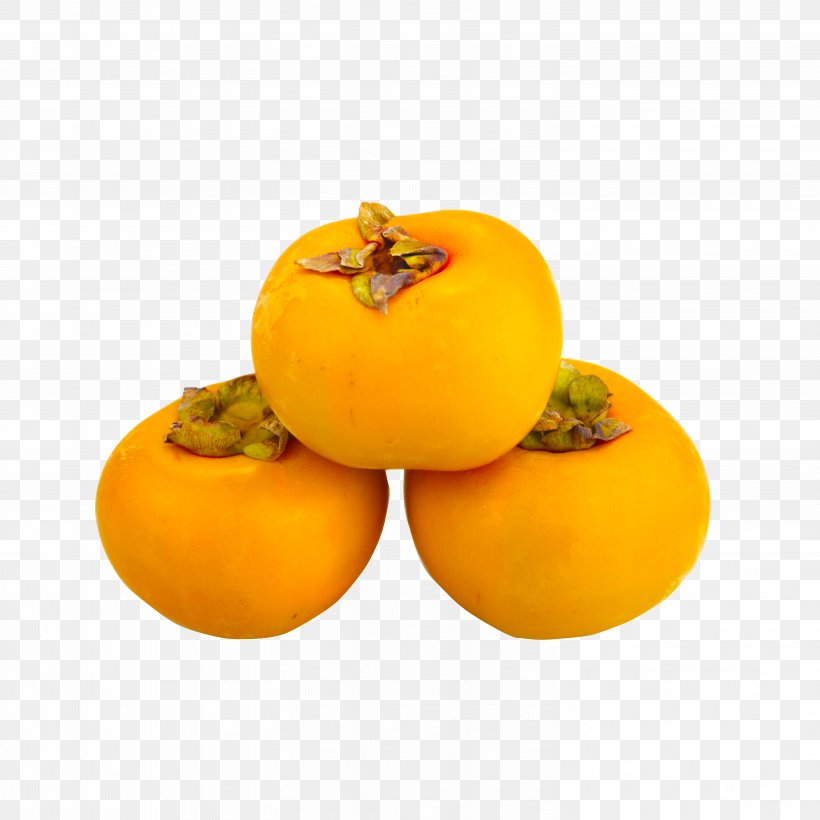 Persimmon Icon, PNG, 6016x6016px, Persimmon, Computer Network, Designer, Diospyros, Ebony Trees And Persimmons Download Free