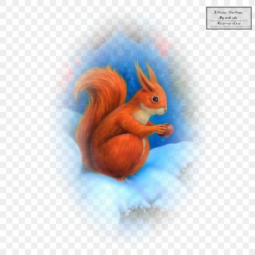 Squirrel Desktop Wallpaper Computer, PNG, 900x900px, Squirrel, Computer, Mammal, Orange, Organism Download Free