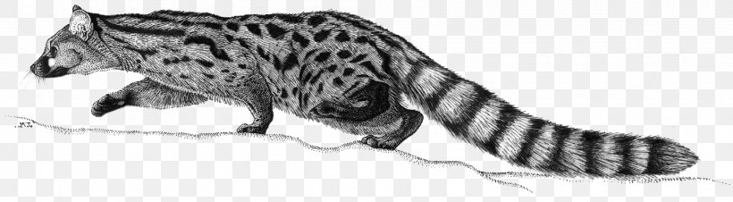 Tiger Cat Dog Pet Terrestrial Animal, PNG, 1843x510px, Tiger, Animal, Animal Figure, Big Cat, Big Cats Download Free