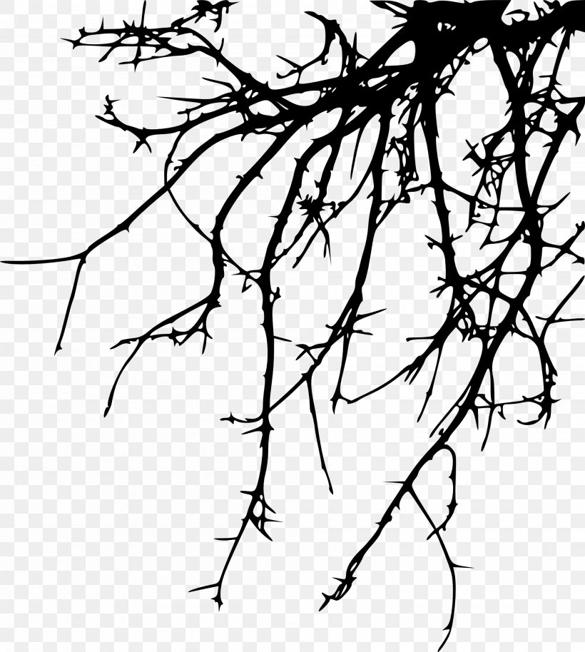 Twig Branch Drawing Clip Art, PNG, 2000x2230px, Twig, Artwork, Black And White, Branch, Drawing Download Free