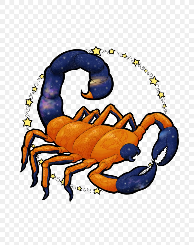 Crab Clip Art, PNG, 772x1034px, Crab, Arachnid, Arthropod, Invertebrate, Organism Download Free