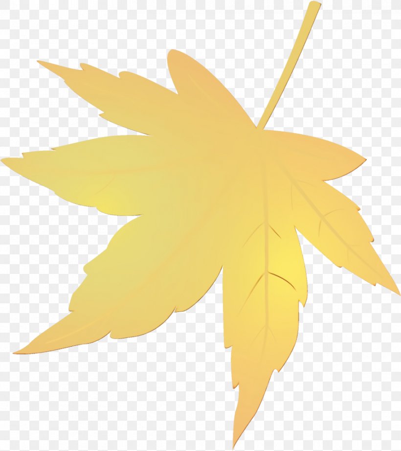 Maple Leaf, PNG, 912x1026px, Watercolor, Black Maple, Leaf, Maple, Maple Leaf Download Free