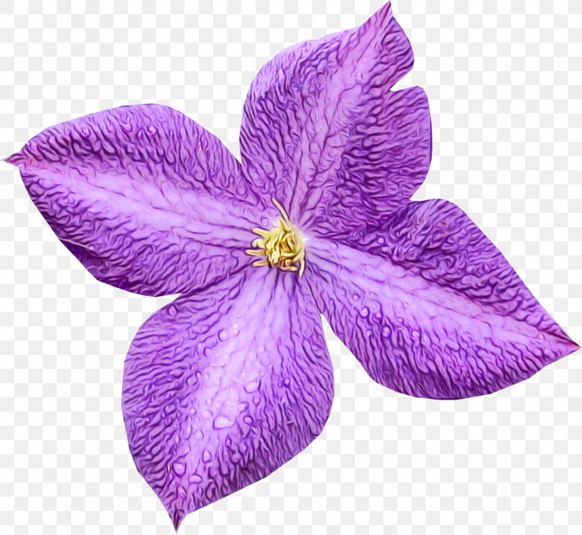 Petal Flower Violet Purple Plant, PNG, 1315x1210px, Watercolor, Clematis, Flower, Flowering Plant, Lilac Download Free
