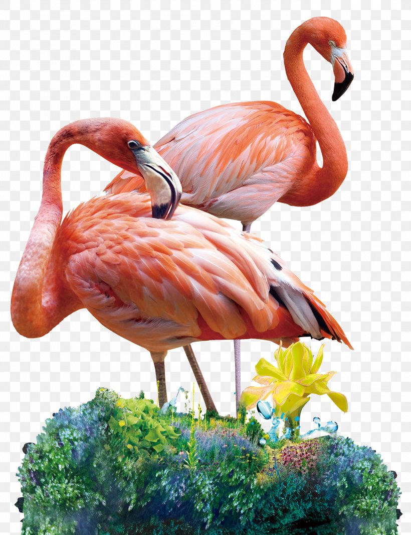 Red Red-crowned Crane, PNG, 2787x3622px, Birds Mosaic, Aliexpress, Beak, Bird, Cross Stitch Download Free
