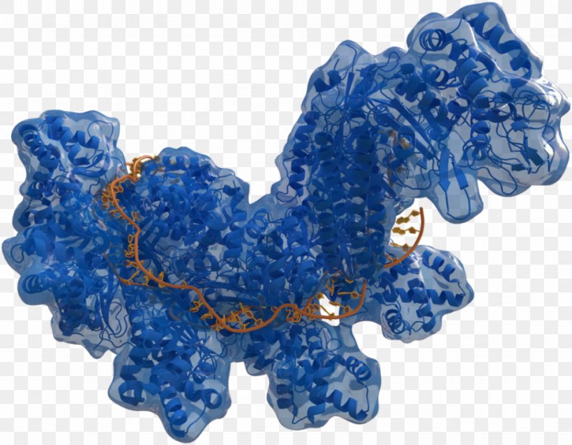 CRISPR Cas9 Genome Editing Molecular Biology Molecule, PNG, 973x759px, Crispr, Biology, Blue, Cobalt Blue, Dna Download Free
