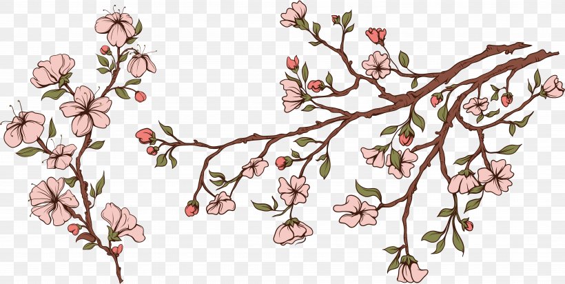 Flower Blossom Apples Drawing Cerasus, PNG, 8042x4041px, Flower, Apple, Apples, Art, Blossom Download Free