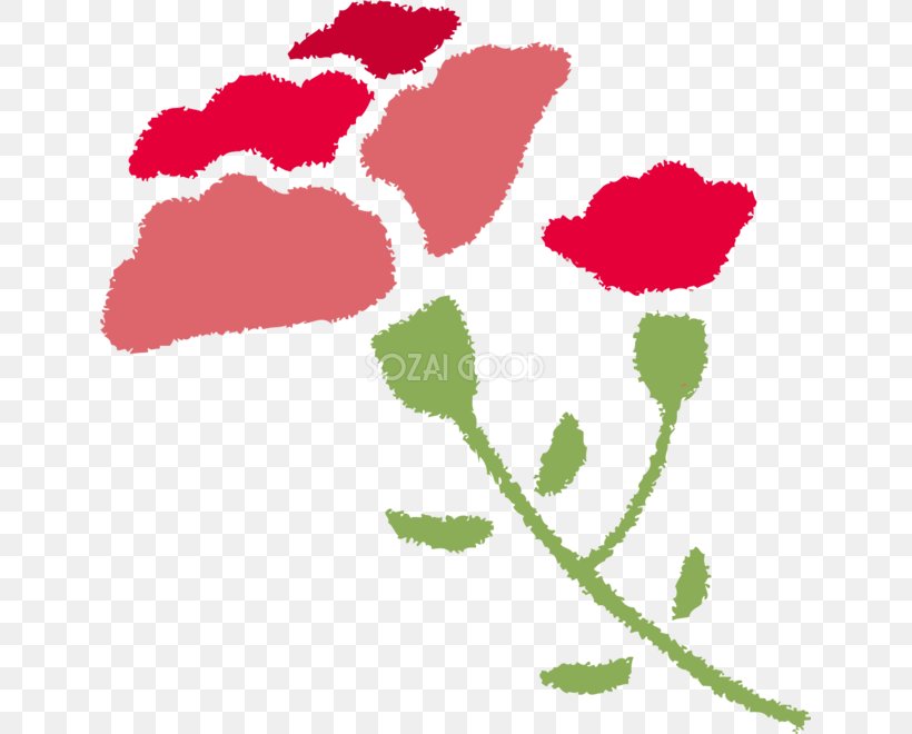 Illustration Garden Roses Stencil Design Mother's Day, PNG, 639x660px, Garden Roses, Carnation, Flora, Floral Design, Flower Download Free