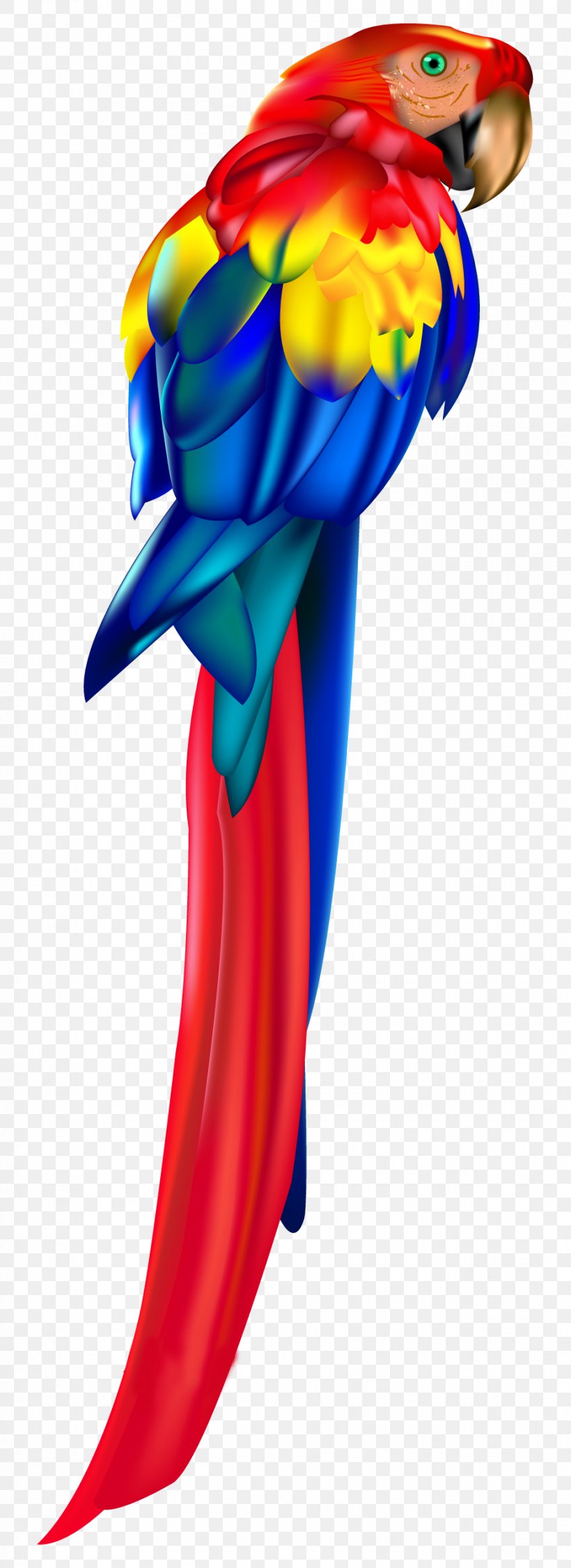 Parrot Bird Macaw Clip Art, PNG, 927x2546px, Parrot, Art, Beak, Bird, Color Download Free