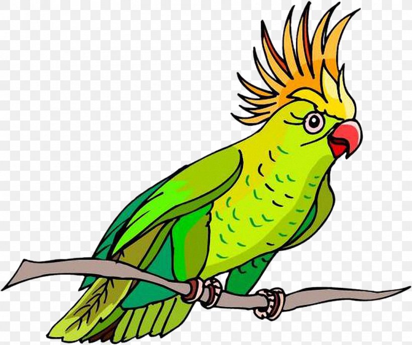 Bird Perroquet Clip Art, PNG, 1079x904px, Bird, Animation, Artwork, Beak, Cockatoo Download Free