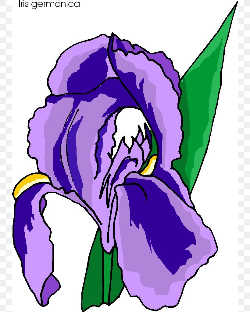 Flower Irises Clip Art, PNG, 742x1024px, Watercolor, Cartoon, Flower, Frame, Heart Download Free