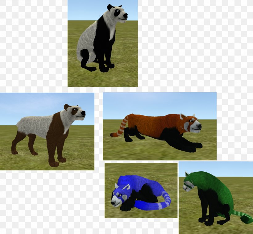 American Black Bear Giant Panda Red Panda Grizzly Bear, PNG, 2112x1954px, Bear, American Black Bear, Camera, Camera Angle, Color Download Free