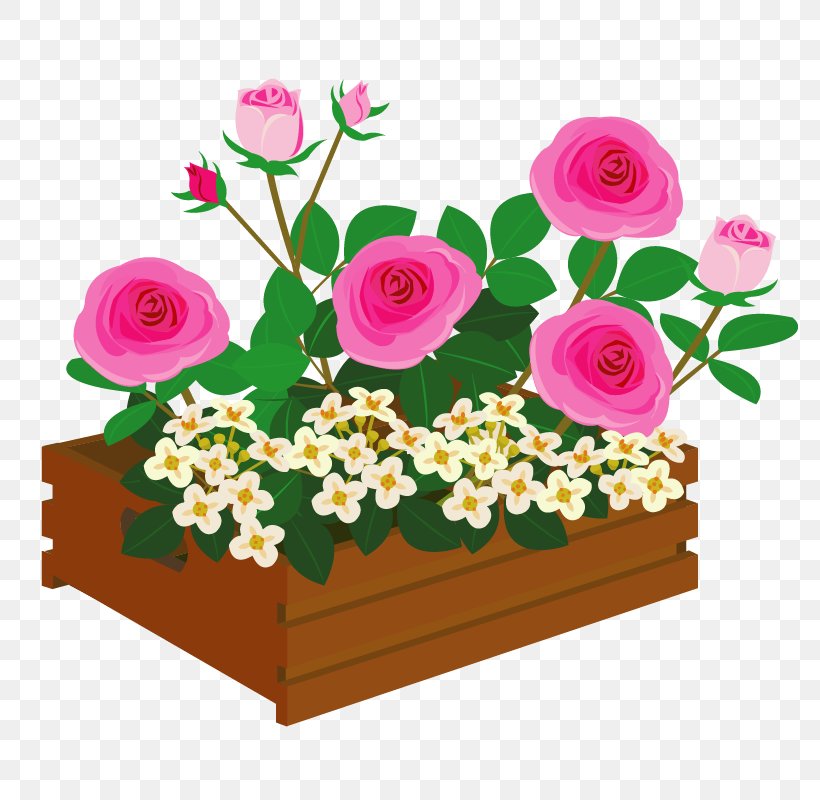 Garden Roses Illustration Floral Design Flower Bouquet, PNG, 800x800px, Garden Roses, Annual Plant, Cut Flowers, Floral Design, Floristry Download Free