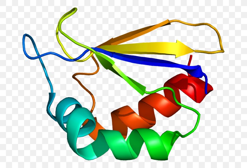 NDUFA2 Hemoglobin, Alpha 1 UniProt Protein Gene, PNG, 721x560px, Watercolor, Cartoon, Flower, Frame, Heart Download Free