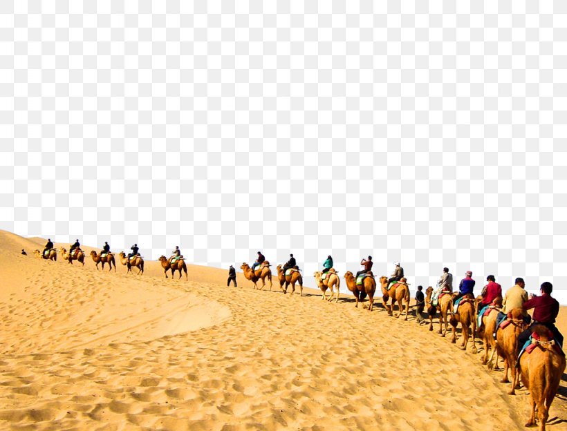 Sahara Camel Desert, PNG, 1024x780px, Sahara, Aeolian Landform, Camel, Camel Train, Caravan Download Free