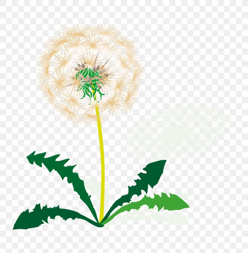 Taraxacum Sect. Ruderalia Gospodarowanie Germany Clip Art, PNG, 1213x1235px, Gospodarowanie, Cut Flowers, Dandelion, Flora, Floral Design Download Free