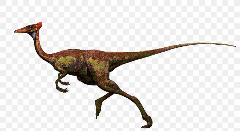 Velociraptor Limusaurus Dinosaur Ceratosauria Tyrannosaurus, PNG, 1600x878px, Velociraptor, Animal Figure, Ceratosauria, Dinosaur, Dinosaur Renaissance Download Free