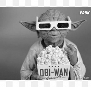 Youtube - Yoda Luke Skywalker Anakin Skywalker YouTube Chewbacca PNG