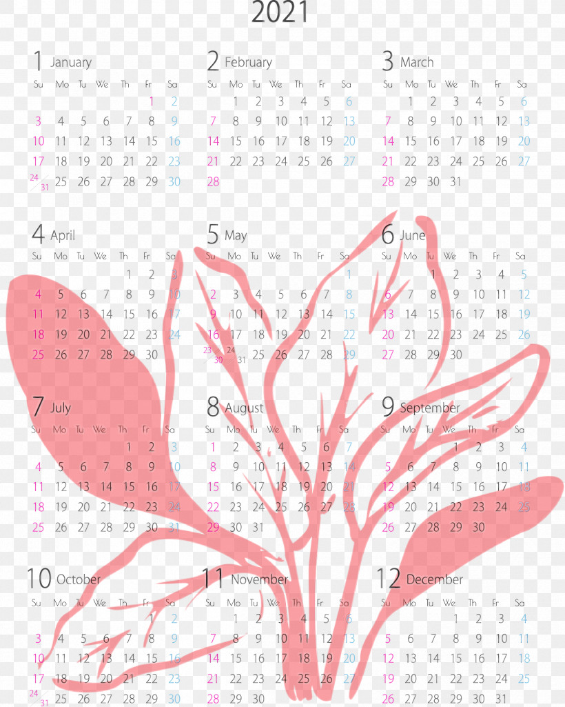 Flower Base Matte Timewise Mary Kay Original - Promoção Text Petal Elimina Olores Gatos Beox 500ml, PNG, 2399x3000px, 2021 Yearly Calendar, 123456789101112, Calendar System, Elimina Olores Gatos Beox 500ml, Flower Download Free