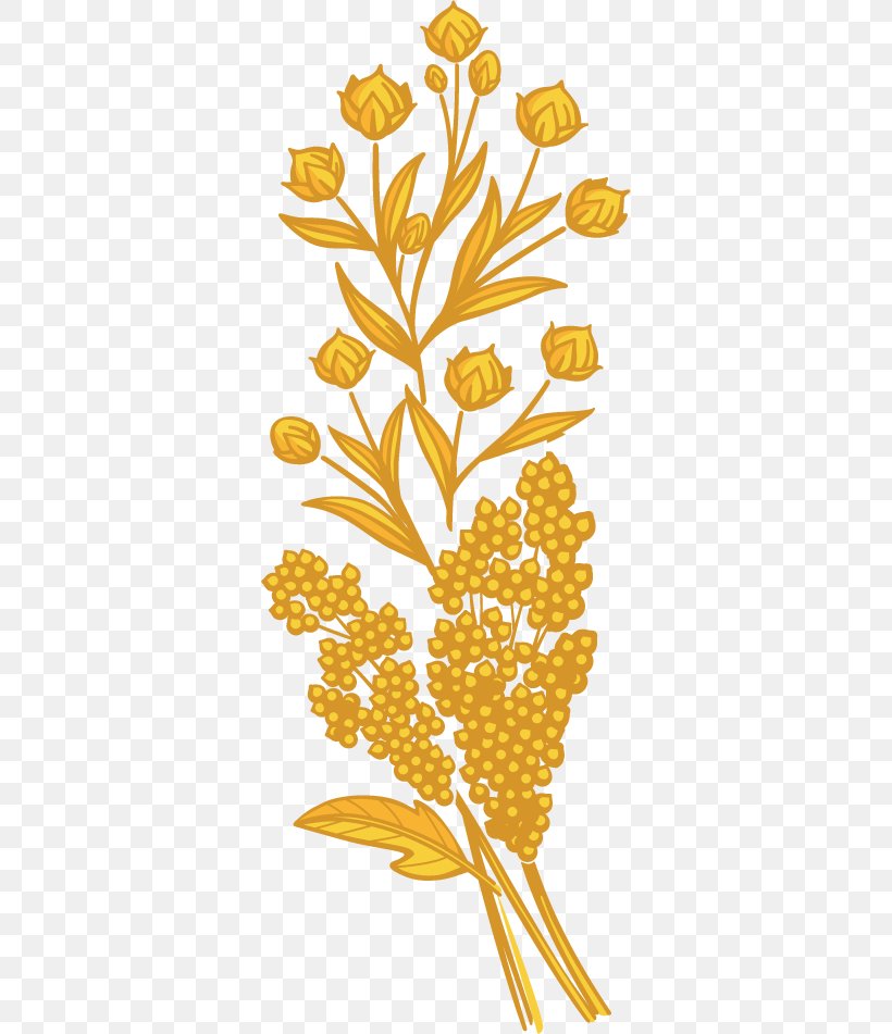 Quinoa Floral Design Plant Stem Clip Art, PNG, 340x951px, Quinoa, Area, Branch, Bread, Commodity Download Free