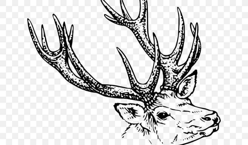 Book Drawing, PNG, 640x480px, Deer, Antler, Barren Ground Caribou, Coloring Book, Drawing Download Free