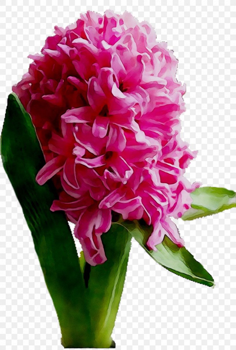 Floral Design Cut Flowers Flower Bouquet Annual Plant, PNG, 1000x1483px, Floral Design, Annual Plant, Bouquet, Cut Flowers, Family M Invest Doo Download Free