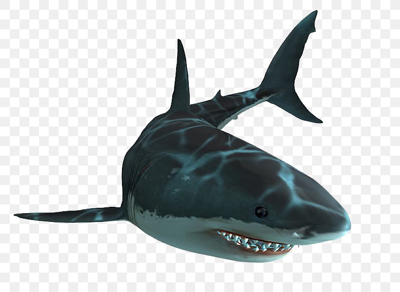Jaws Unleashed Shark Jaws PlayStation 2 Great White Shark, PNG, 800x600px, Jaws Unleashed, Cartilaginous Fish, Fin, Fish, Great White Shark Download Free