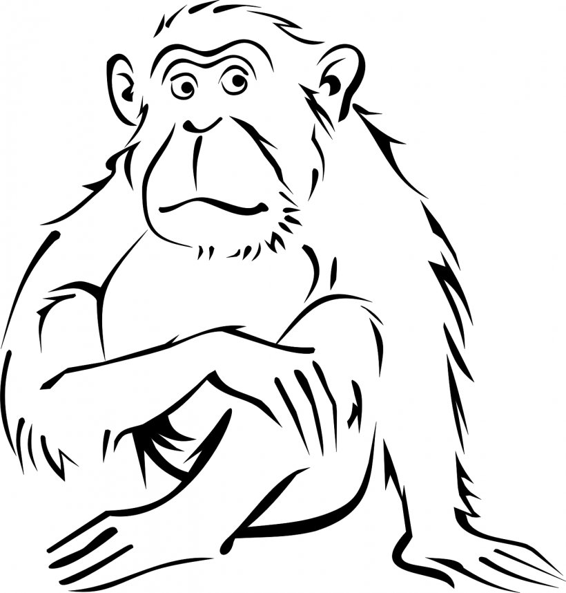 Monkey Coloring Book Drawing Black-and-white Colobus Clip Art, PNG, 1418x1485px, Watercolor, Cartoon, Flower, Frame, Heart Download Free