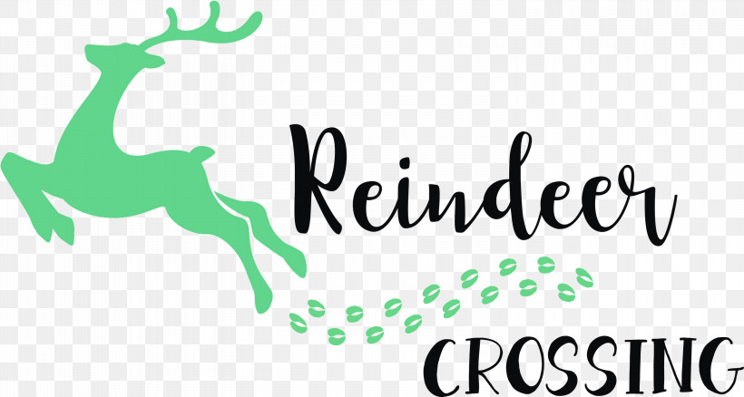 Reindeer, PNG, 3000x1606px, Reindeer Crossing, Antler, Deer, Green, Line Download Free