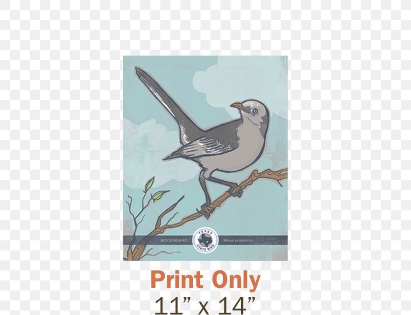 Texas Tennessee Northern Mockingbird Florida, PNG, 600x629px, Texas, Beak, Bird, Bird Of Prey, Birdwatching Download Free