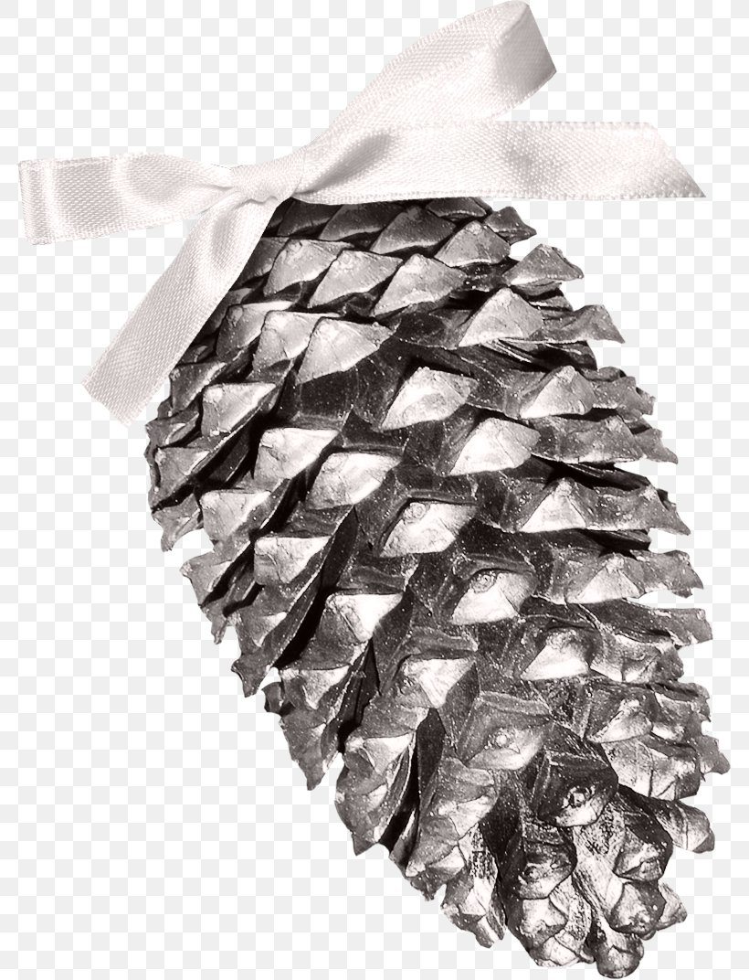 Conifer Cone Pine, PNG, 783x1072px, Conifer Cone, Black And White, Blue, Christmas, Christmas Decoration Download Free