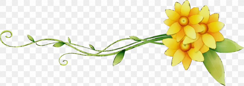 Flower Yellow Cut Flowers Plant Pedicel, PNG, 1659x588px, Flower Border, Cut Flowers, Floral Border, Flower, Flower Background Download Free