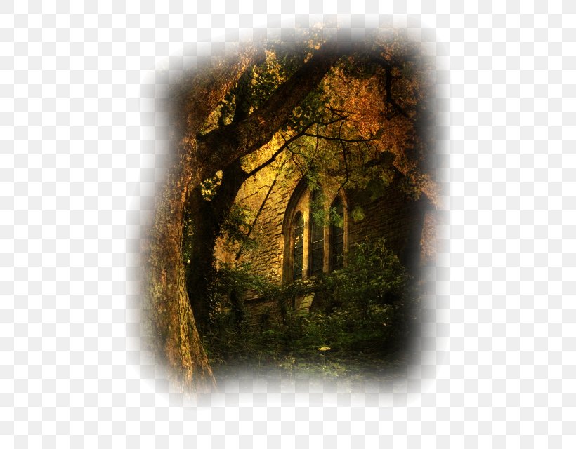 Photography Landscape Painting Art, PNG, 480x640px, Photography, Arch, Art, Forest, Landscape Download Free