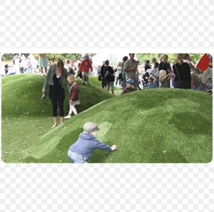 Artificial Turf Golf Course Leisure Recreation, PNG, 810x810px, Artificial Turf, Competition, Competition Event, Golf, Golf Club Download Free