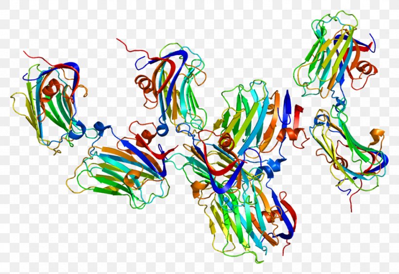 NRXN1 Neurexin Neuroligin Protein Gene, PNG, 976x672px, Neurexin, Art, Cell Membrane, Copynumber Variation, Gene Download Free
