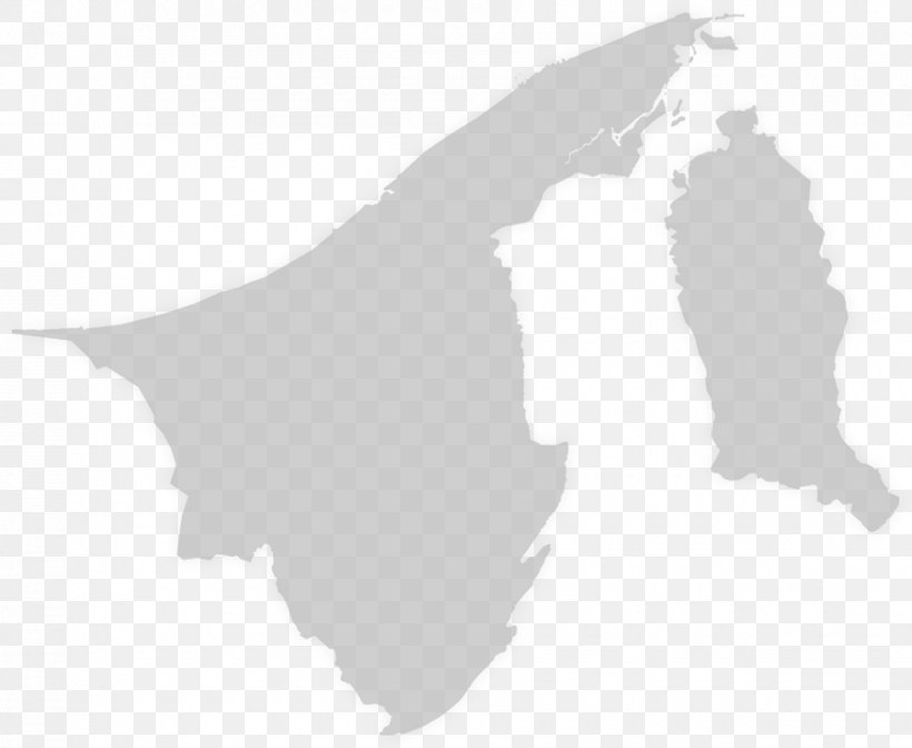 Brunei Blank Map World Map Mapa Polityczna, PNG, 900x738px, Brunei, Black And White, Blank Map, Country, Google Maps Download Free